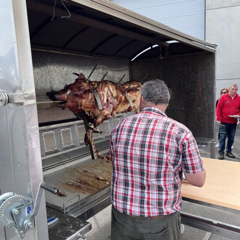 Saugrillen im Seewinkel