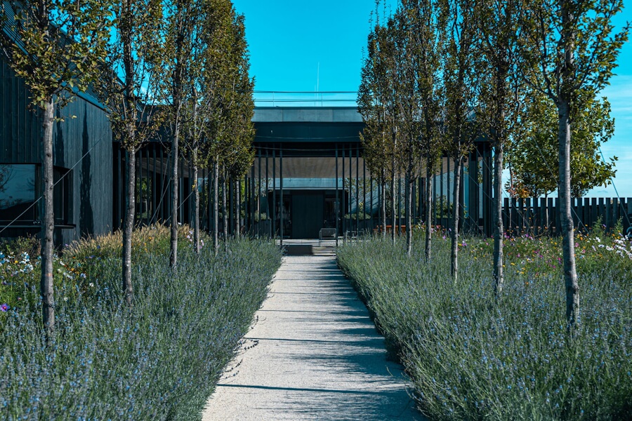 Weingut Schwarz Eingang